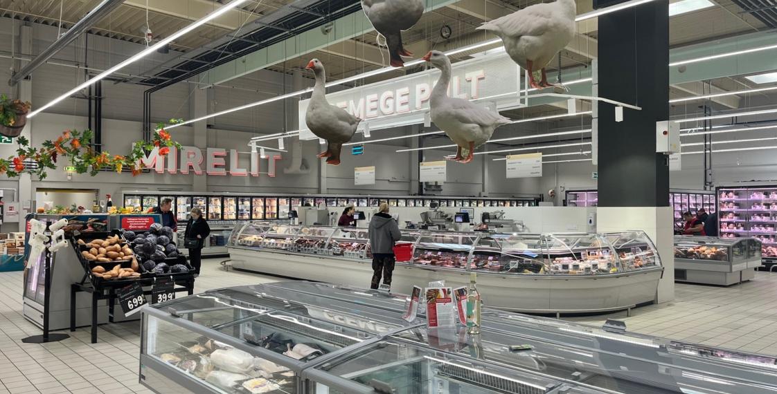 Auchan Szolnok Velvet-Style Beluga Picture2