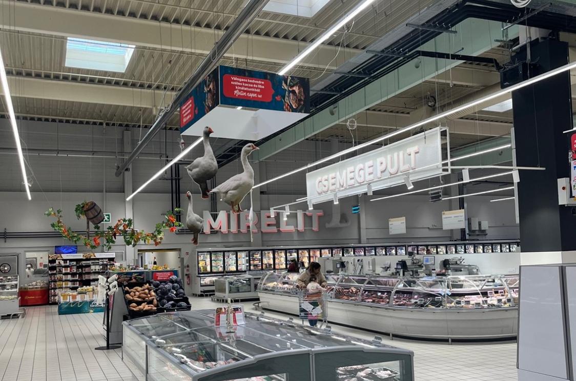 Auchan Szolnok Velvet-Style Beluga Picture1